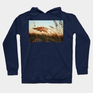 Sunlight On Sea Oats Hoodie